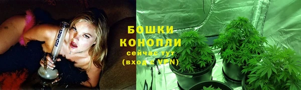 прущий лед Арсеньев