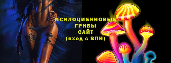 apvp Аркадак