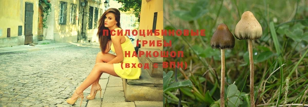 apvp Аркадак