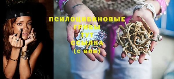 прущий лед Арсеньев