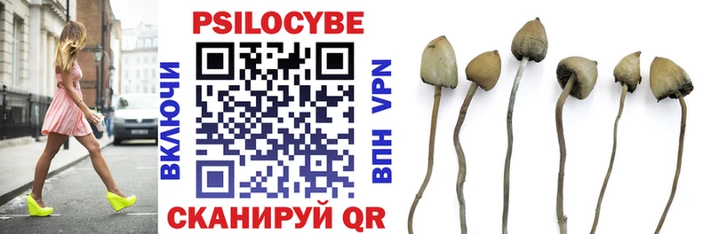 Галлюциногенные грибы прущие грибы  Кондрово 